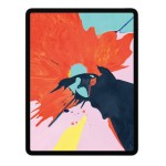 IPad Pro 12.9 (2018) 12.9 '' 256GB Space Gray