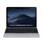 Apple MacBook 2015 12 "Intel Core 1.1 Ghz 8 GB 256GB SSD US Siderisch grijs Model A1534 Grade A