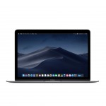 Apple MacBook 2015 12" Intel Core 1.1GHz 8 GB 256GB SSD US Space Grau Modell A1534 Grade A