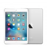 iPad mini WiFi 7.9 '' 16GB Silver