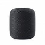 Smart Column Apple HomePod Sideral Grey