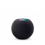 Colonne Intelligente Apple HomePod Mini Sidreal Gris