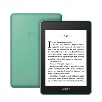 Amazon Kindle Paperwhite 4 (2018) 10 gen 6" 512MB 8GB Verde Grade A++