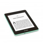 Amazon Kindle Paperwhite 4 (2018) 10 gen 6" 512MB 8GB Verde Grade A